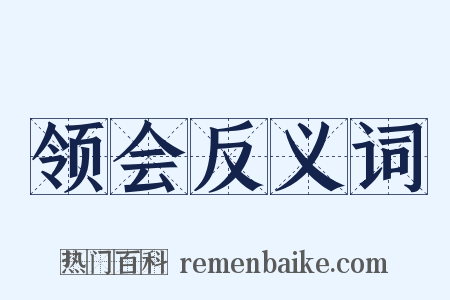 领会反义词是什么意思的图片